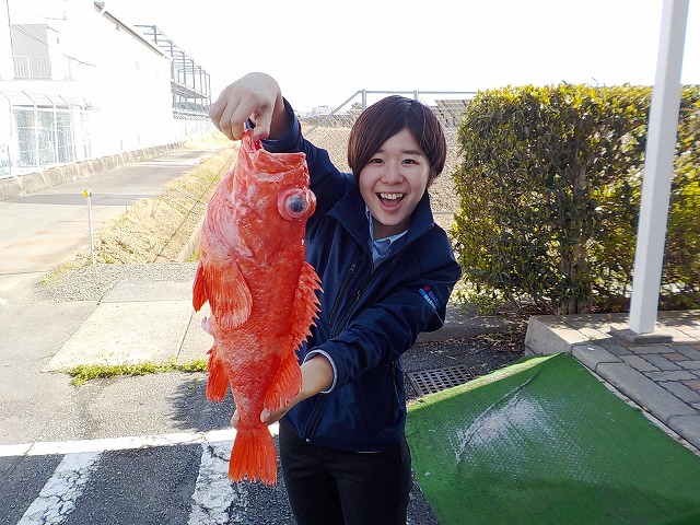 http://www.suzukimarine.co.jp/marina/hamanako/blog/2018/03/18/img/DSCN9984.jpg