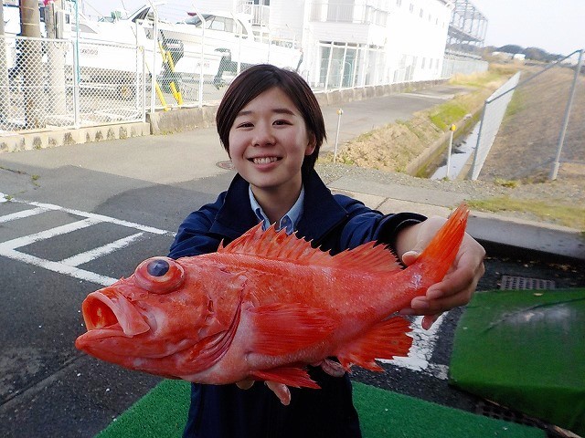 http://www.suzukimarine.co.jp/marina/hamanako/blog/2018/04/01/img/DSCN9041.jpg