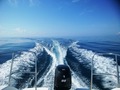 http://www.suzukimarine.co.jp/marina/hamanako/blog/assets_c/2017/10/DSC_0147-thumb-120x90-6250.jpg