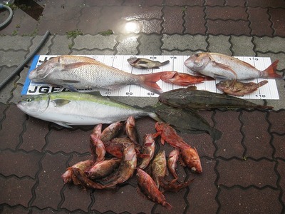 伊良湖　釣果のサムネイル画像