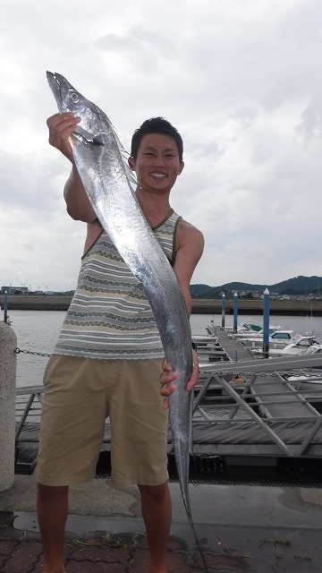 伊良湖　太刀魚