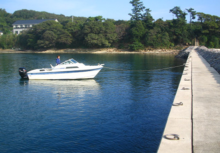 スズキマリーナ三河御津