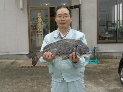 富山湾で大物黒鯛をGET