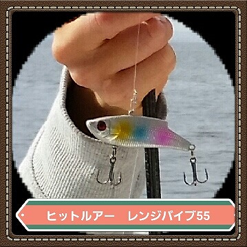 http://www.suzukimarine.co.jp/rental/blog/2017/11/10/img/2017-11-07%2021.48.47.jpg