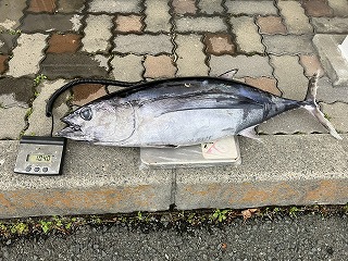 https://www.suzukimarine.co.jp/marina/hamanako/blog/img/IMG_0211.jpg